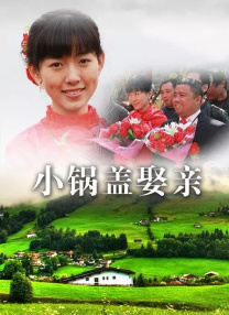 盗花野史